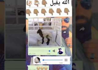 مكالمات واتس اب