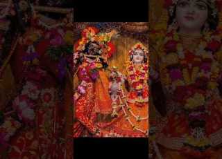 Samare Ko Dil Me Vasa Kar To Dekho Official Short Trandingshort Viralvideos AmitBhadana