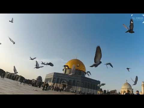 نشيد ياقدس المنشد محمد مطري فلسطين غزة طوفان الأقصى تصميم روعه