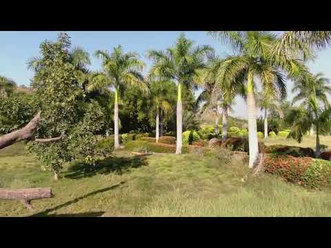 مدينة كادوقلي جنوب كردفان