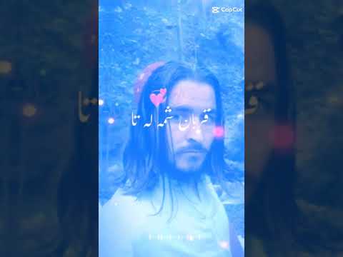 Pashto Video 2025 زمونگہ یوٹیوب چینل درسرہ سبسکرایب کی Hameedullah Mansoor Offical 03469296814