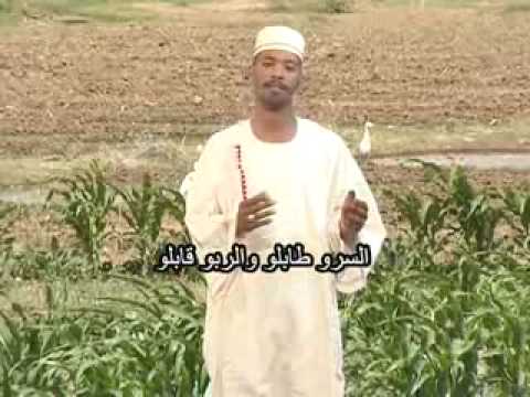 سلامي لي اهل العناية احمد البلحي