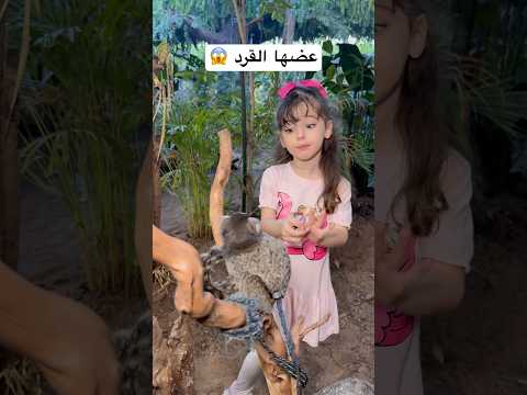 عضها القرد في حديقة الحيوانات Twins اكسبلور