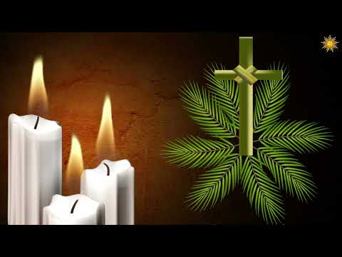 ترانيم احد الشعانين ترانيم احد الشعانين Hymn PalmSunday