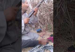 صيد البط صيد البلشون