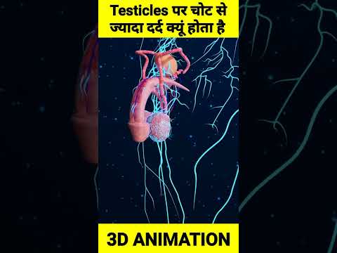 अ डक ष पर च ट लगन पर हम ज य द दर द क य ह त ह Shorts Shortvideo Short