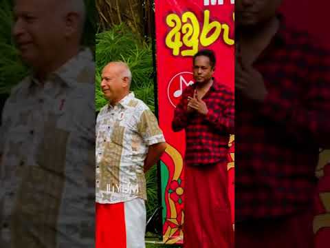 MT Studio අව ර ද ප ට ප ද ර Party 2025 Highlights Highlight Music Music Musictherapy