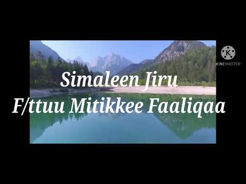 Kottu Mikaa Elii F Ttuu Mitikkee Faaliqaa Daawwadhaa Subscribe Gochuus Hin Dagatinaa