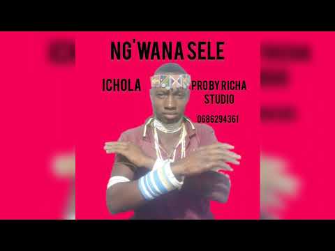 Ngw Ana Sele Ichola Pro By Richa Studio