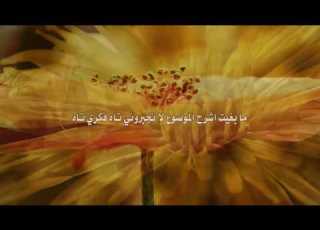  شيلة غزال البر كلمات محمد بن لقفص اداء حسين العنسي تنسيق عارف الحميدي
