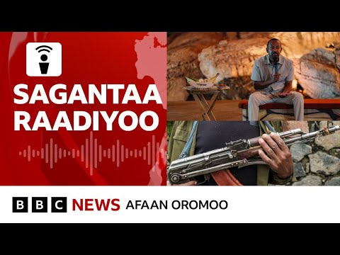 Hidhattoonni Faannoo Noonnootti Namoota 20 Ol Ajjeesuu BBC News Afaan Oromoo