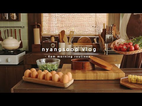 6am Mornings Routines In Korea S Countryside Days Of Living Alone In A Small Forest House