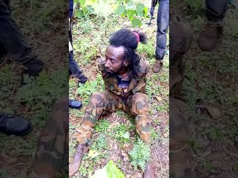 Miseensa Waraana ABO Jaal Fullaasaa Jedhama Dhalataa Harargeeti Akkasitti Itti Taphatan