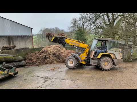 Moving Cows And Calves