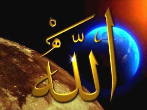 الشيخ اسامة جلال عامر يوسف