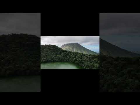 VodKeHSHK FLY PHONK Robertfiles Remix