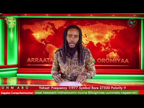 Oduu Galgala ONM ABO Bitootessa 25 2026 Itti Dhiyaadhaa