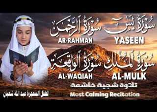 تلاوة تريح القلوب سورة يس الرحمن الواقعة الملك القارئ عبدالله شعبان Heart Soothing Recitation