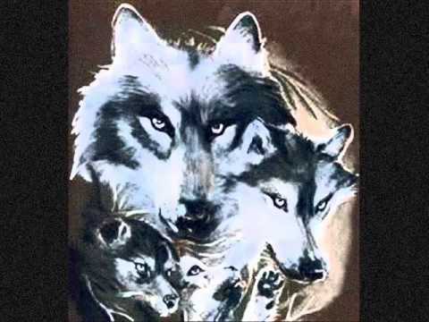 مهرجان الديابه السته ولعبه الاحلام Magdy Pego