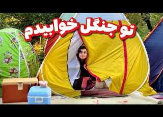 برای اولین برا رفتم کمپ و تو جنگل خوابیدم
