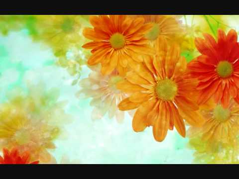 سورة يوسف القارئ يوسف كالو Surat Yusuf Yousef Kalo