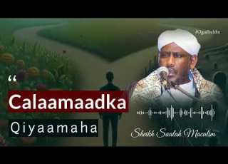  Calaamadaha Qiyaamaha Sh Saalax Macalim OGAALBULSHO Sheekhsaalaxmacalim Qisooyin Muxaadaro