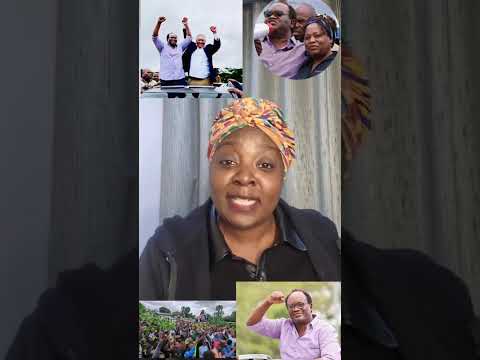 Brian Mundubile Truth About His Arrest HH Plan Lies By Diaspora Over Brian Mundubile Lillian Mutambo