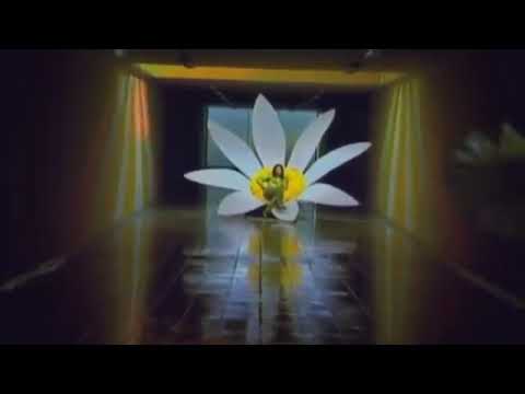 أغنية يونانية قديمة روعة ماكاباي