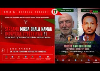 Sarbama Mirga Dhala Namaa Impayera Ityophiyaa Fi Ulaagaa Qorannoo Mirga Namoomaa