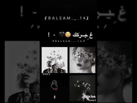 مهرجان I Love You قمر ومشفتش زيو ومش شايف غيرك