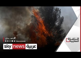 حرائق الغابات تضرب منطقة العرائش المغربية النافذة المغاربية