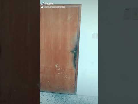 قالو عني ولد داشر