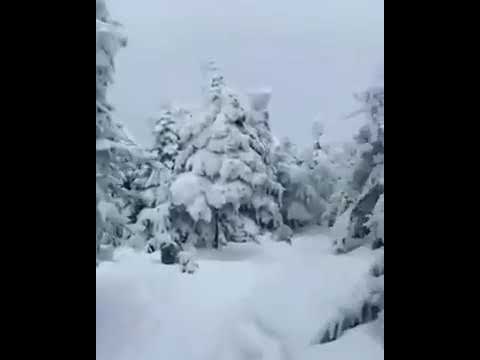 أنشودة رائعة يرجون جنة ربهم مناظر ثلجية خلابة