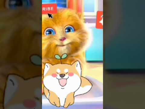 قلبوشي بدون ايقاع بيسان صيام كراميش قلبوشي بدون ايقاع بيسان صيام كراميش