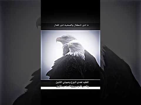 ربعي وما اسامحم على صار احاسبهم حساب ع جرالي 𓆩𝑨𝑴𝑬𝑹𓆪 ربعي وما اسامحم على صار احاسبهم حساب ع جرالي 𓆩𝑨𝑴𝑬𝑹𓆪