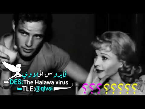 وغصبن عليك عله بابك مريت حالات واتساب وغصبن عليك عله بابك مريت حالات واتساب