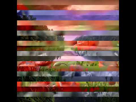 ماتيسر من سورة الحاقة بصوت الشيخ عبدالرحمن مسعد