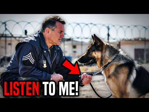 K9 Dog Ignored Every Command Until A SEAL Colonel Gave One