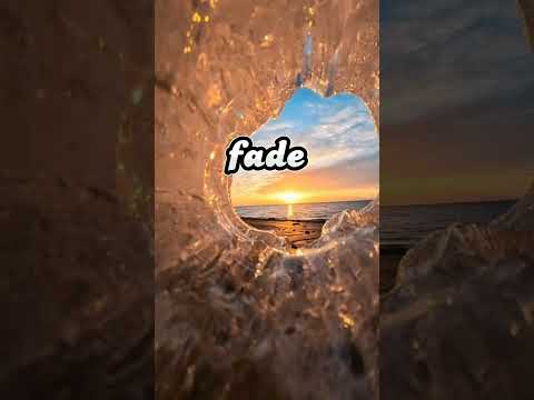 Faded You Were The Shadow Without Music Vocals Only Alan Walker Halal Songs