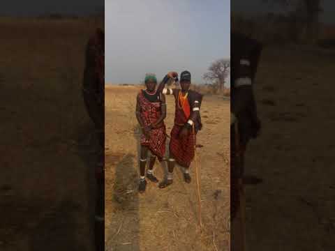 Inaga Mlyambelele Akitabiri Mwaka 2024 2025 Inaga Mlyambelele Akitabiri Mwaka 2024 2025