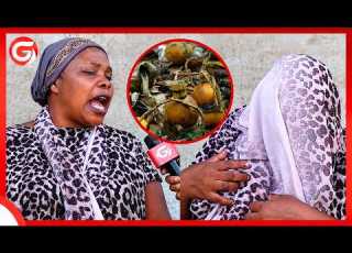 VIBWEKA Vya ZAI KIJIWE NONGWA AMWAGA SIRI Za WAGANGA USWAHILINI NILIKIMBIA SABABU Ya MIKOPO