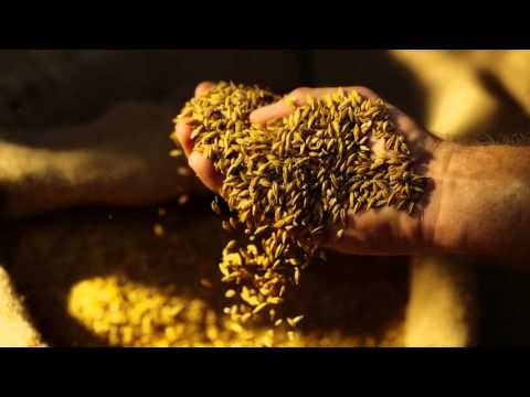 لبيك قصيدة التلبية للحلاج