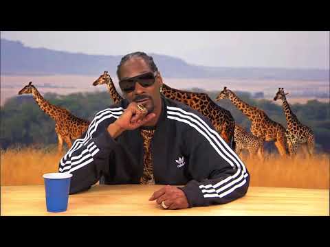 HILARIOUS Snoop Dogg Narrates Animal Planet Documentary