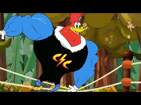 Woody Woodpecker Woody The Wrestler NEW EPISODES Woody Woodpecker Woody The Wrestler NEW EPISODES