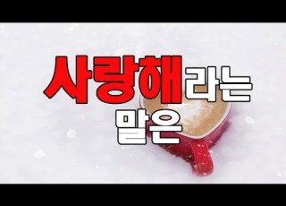 사랑해라는 말은