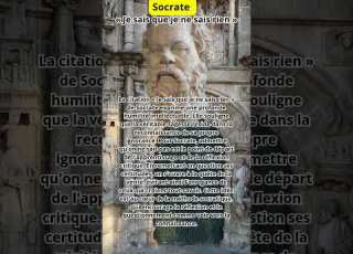 Socrate Citation Décryptée Je Sais Que Je Ne Sais Rien Citation Shorts Socrates