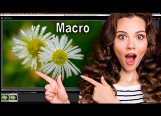  Sharpen AI On Noisy Macros