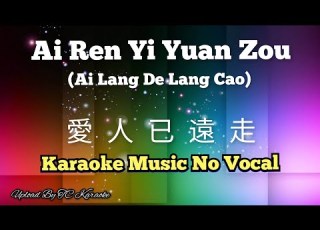 Ai Ren Yi Yuan Zou Ai Lang Te Lang Cao 愛人已遠走 Karaoke Mandarin No Vocal