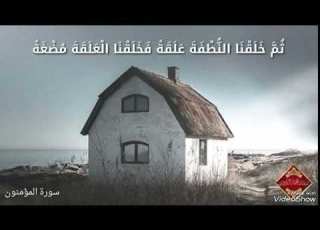 ولقد خلقنا الإنسان من سلالة من طين قران حالات واتس رعد الكردي