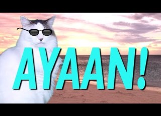  HAPPY BIRTHDAY AYAAN EPIC CAT Happy Birthday Song